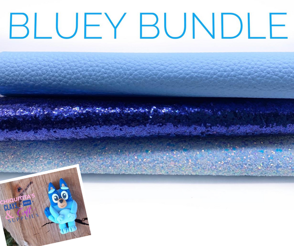 Bluey Matching Bundle