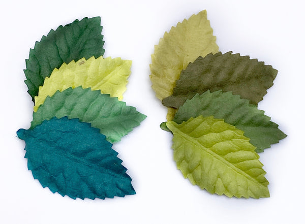 Mulberry Paper Green Mix Loose Leaves Bundle